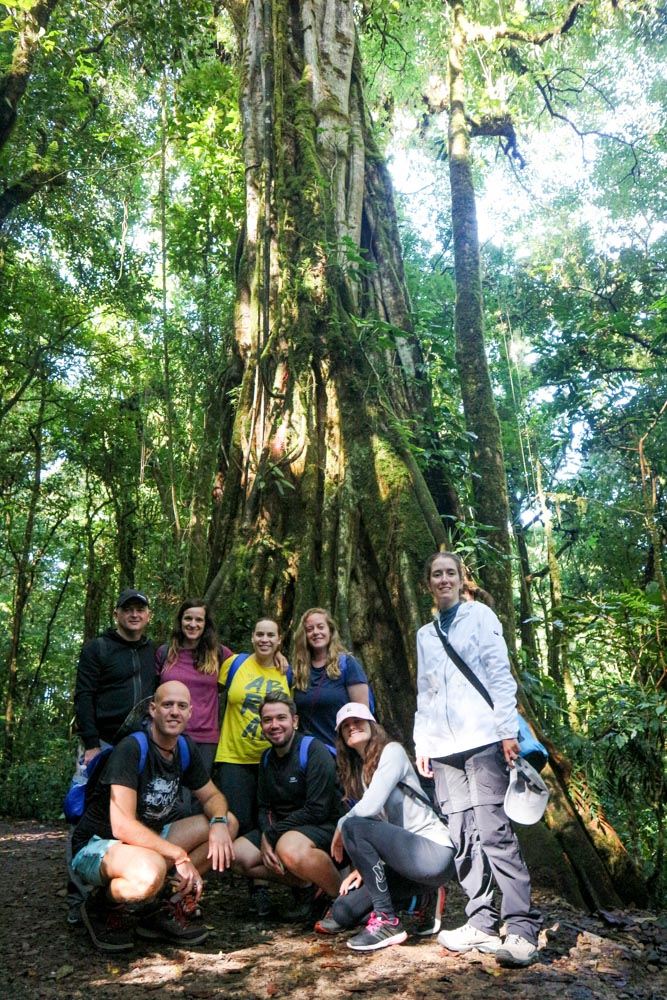 Aprende el auténtico significado de PURA VIDA y vive una aventura sorpresa sin precedentes. Desde Tortuguero, cruzando por el parque Monteverde