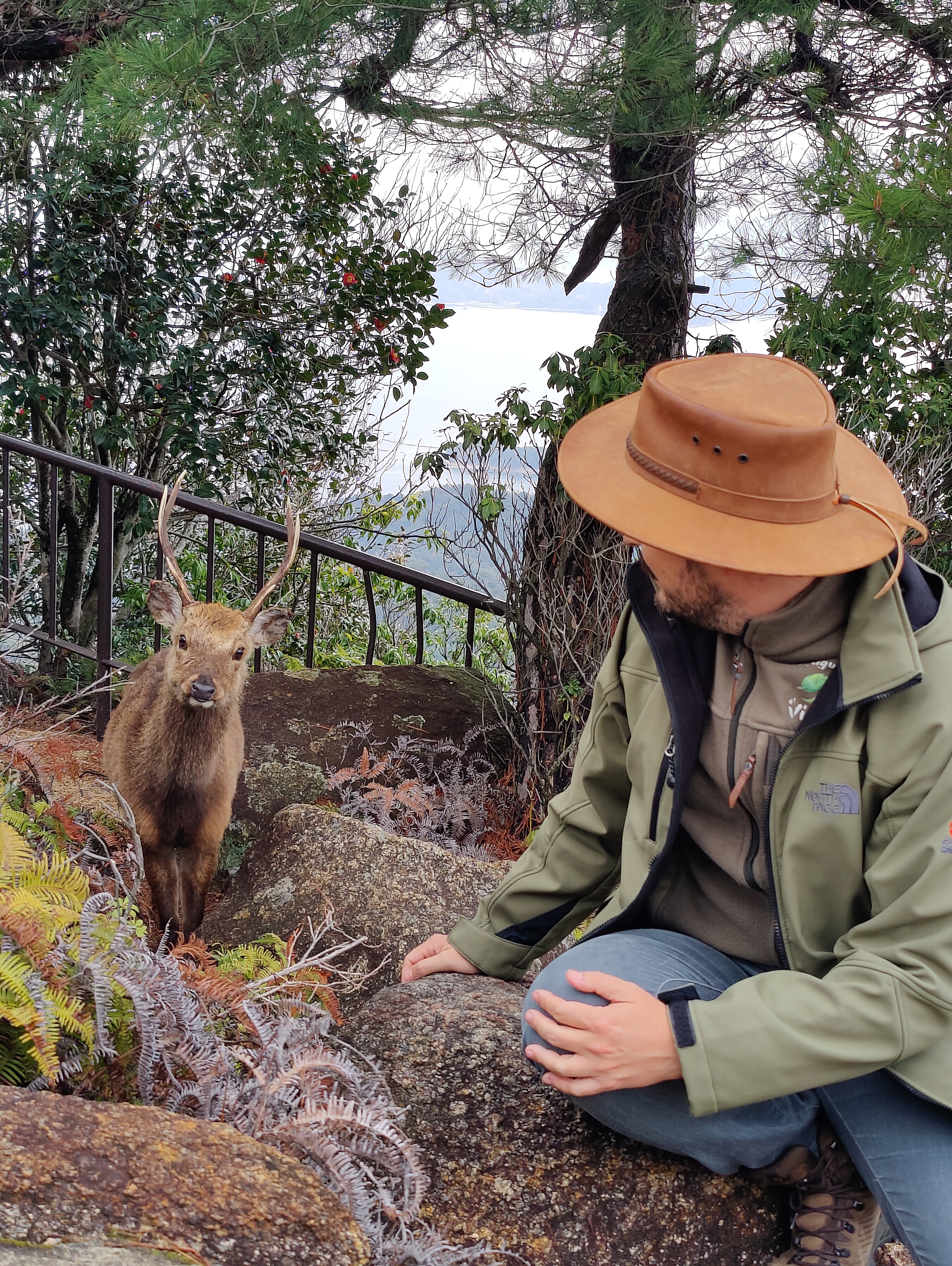 Vive la aventura de un viaje sorpresa en grupo a Japón. Descubre su cultura, paisajes y experiencias únicas. ¡Reserva y déjate llevar por el viento!
