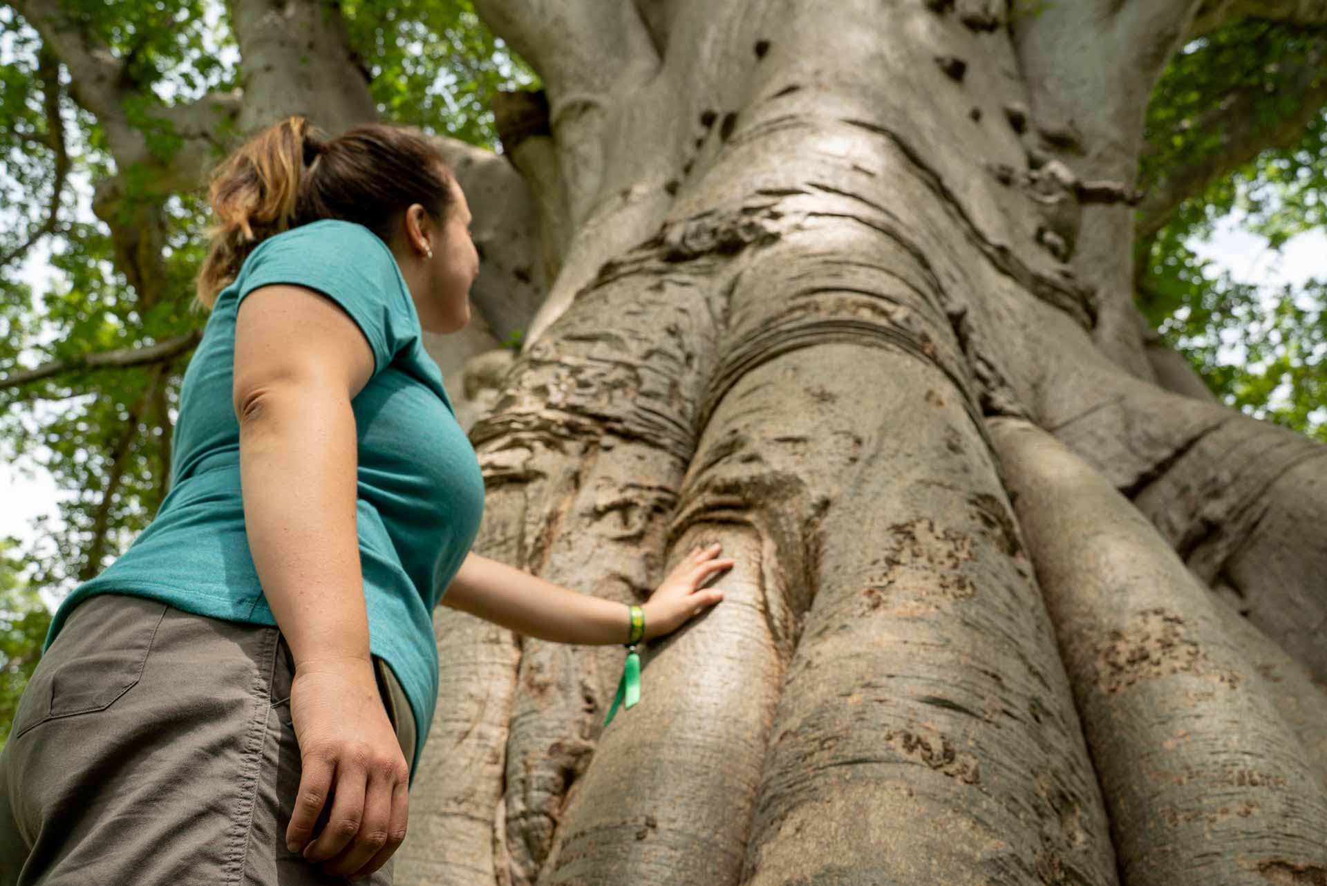 Descubre el país de las sonrisas. Viaja con un grupo a descubrir las maravillas del país Basari y alojándonos en campamentos solidarios.